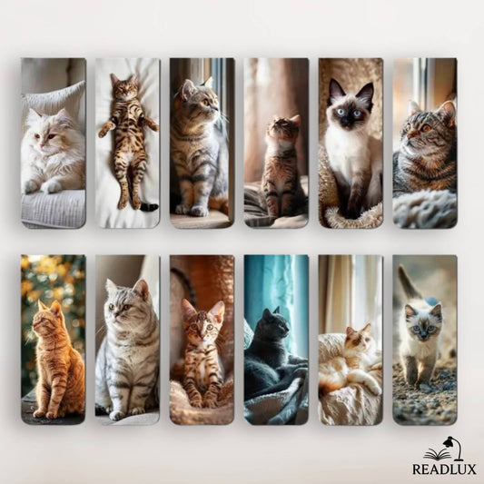 Lot de marque page magnétique avec des chats 
